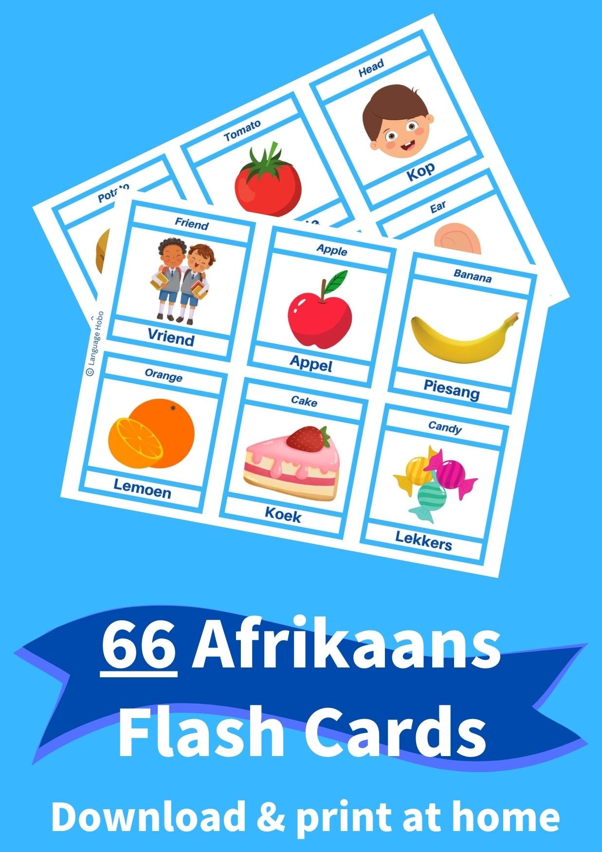 Printable AFRIKAANS Flashcards [PDF Download]