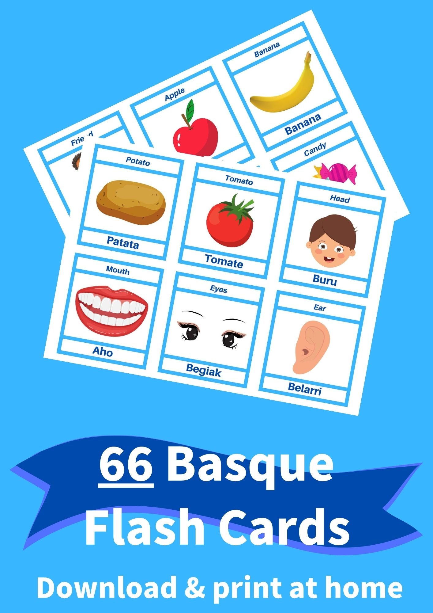 Printable BASQUE Euskara Flashcards [PDF Download]