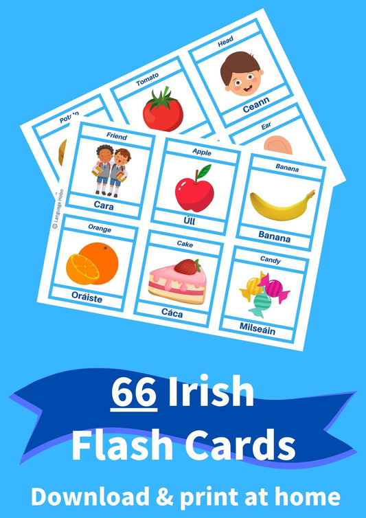 Printable IRISH Flashcards [PDF Download]